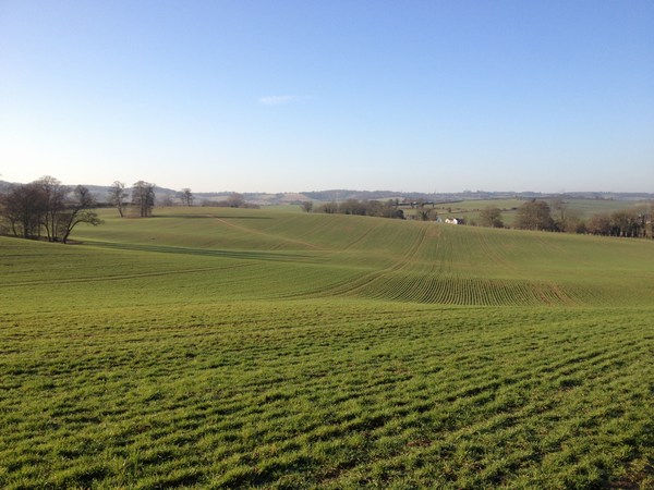 Countryside near Hitchin, Hertfordshire